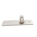 Platte mit Stift/Decke