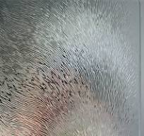 Ornament Chinchilla' 4mm Clear AGC - 132x214