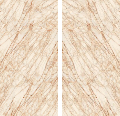 Golden Spider Bookmatch