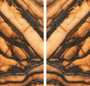 Tiger All-Light Bookmatch