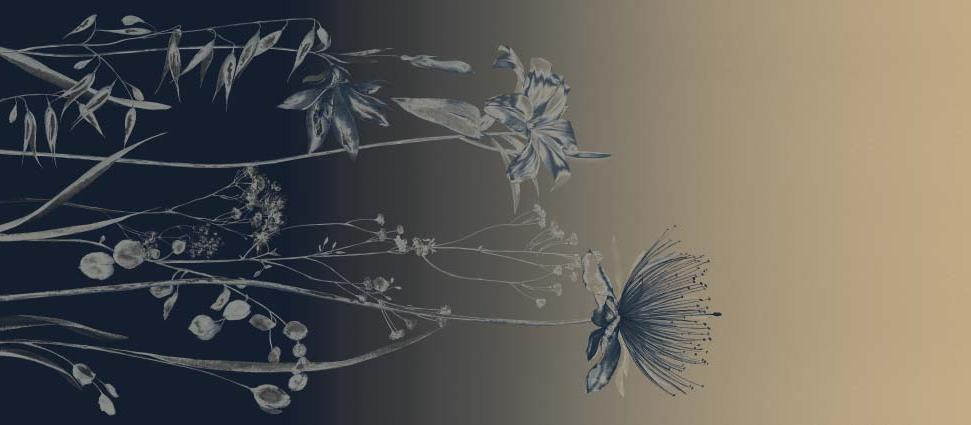 Bloom