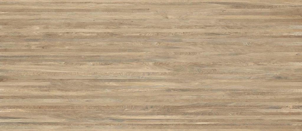 Brave Stripy Oak