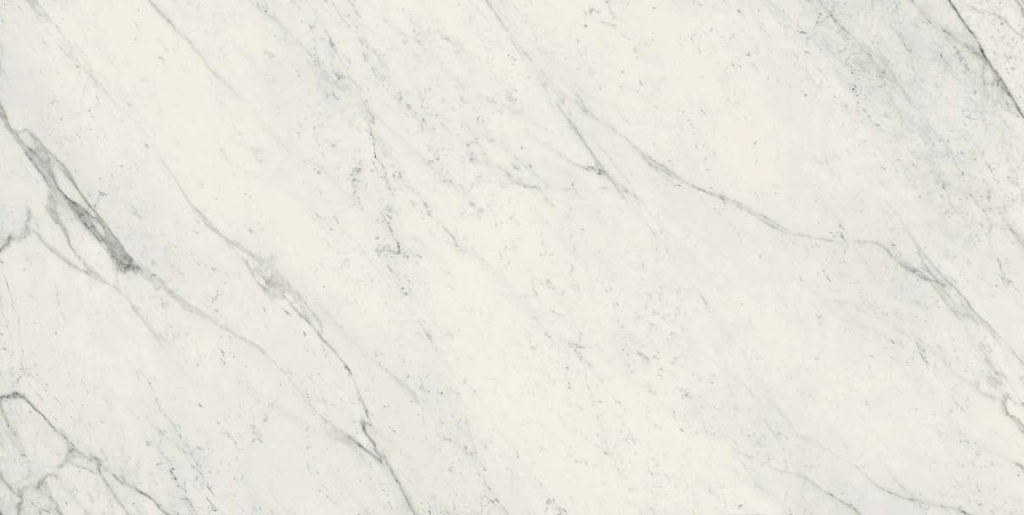 Elegant White