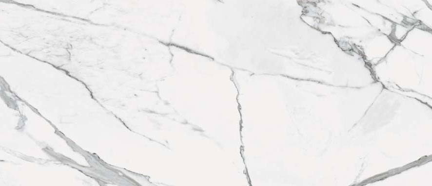 Calacatta White