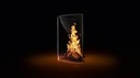Glass-ceramic