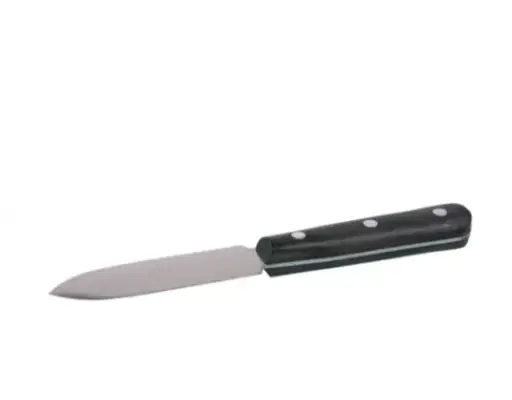 Putty knife with pointed tip